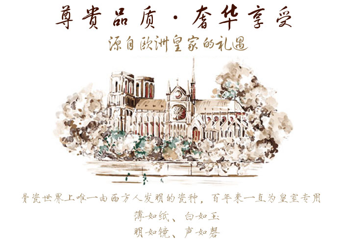 源自欧洲骨瓷白杯系列