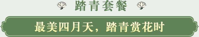 最美四月天,踏青赏花时