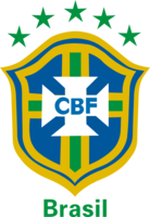 世界杯 巴西队 队徽高档彩色纯棉长袖T恤-高档