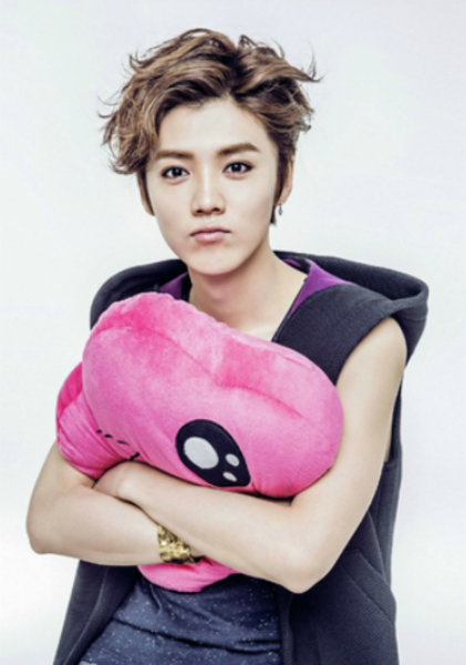 鹿晗-定制a3海报竖版